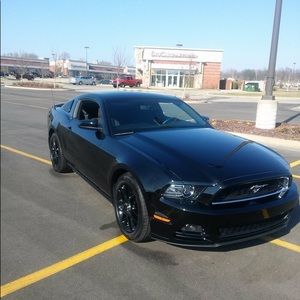 Meet your Posher, Tim